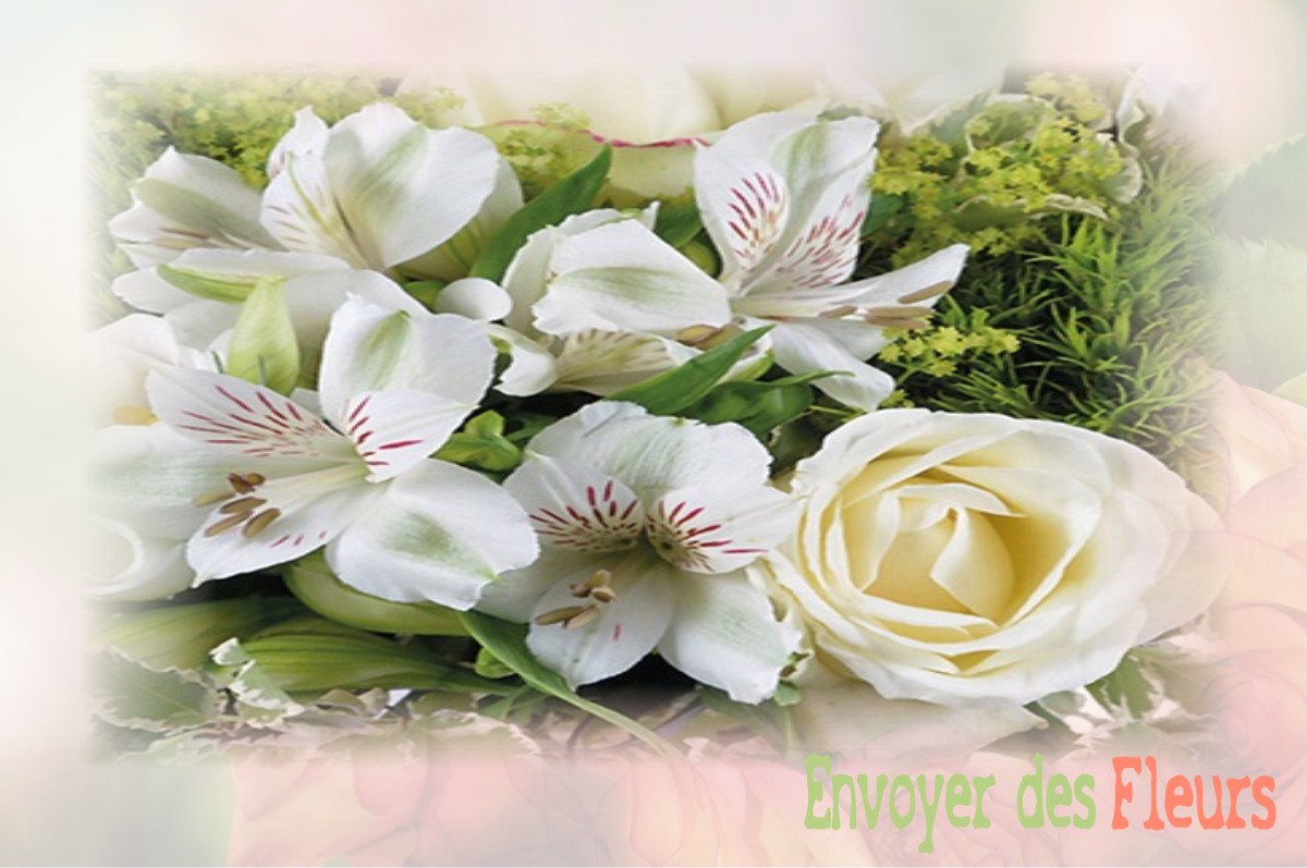 envoyer des fleurs à à SAINT-JEAN-DES-BAISANTS